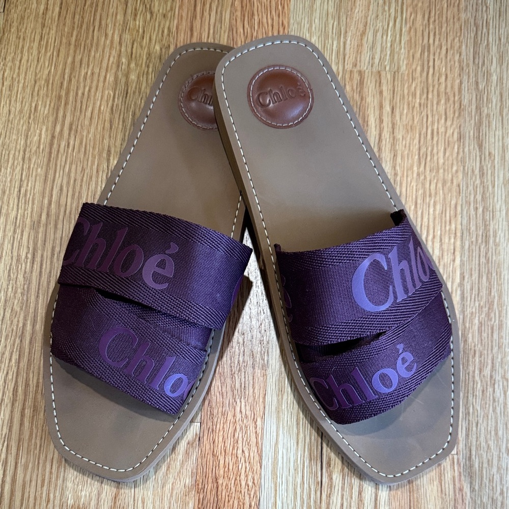 Chloé Brown Slide Sandals with Deep Purple Logo Straps
